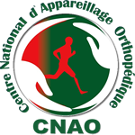 Organisation du CNAO